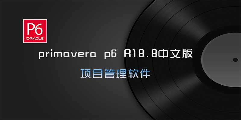 primavera p6 Pro 激活版 2020.1 中文版项目管理软件