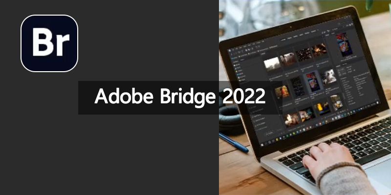 Adobe-Bridge-2022.jpg
