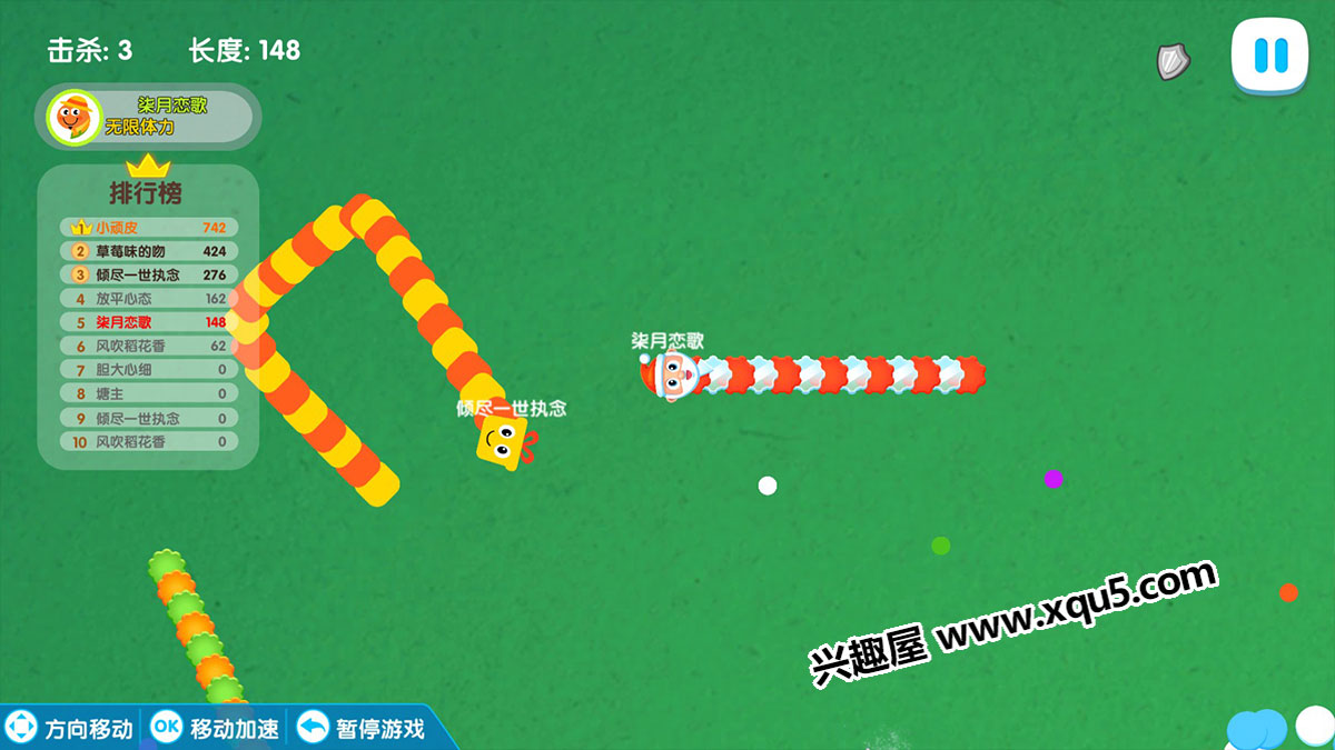 xiangqianchong-11.jpg