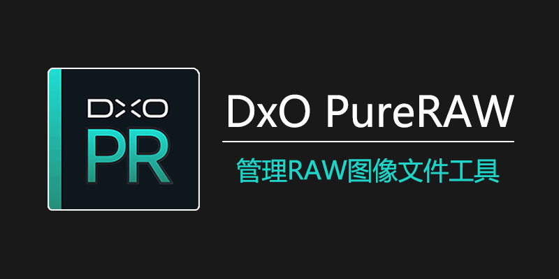 DxO PureRAW 中文激活版 Win4.9.0.63 / Mac3.9.0 Build 33