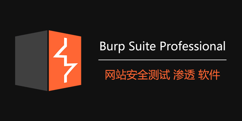 Burp Suite Pro 专业版 v2024.2.1.5 网站安全测试 渗透 软件