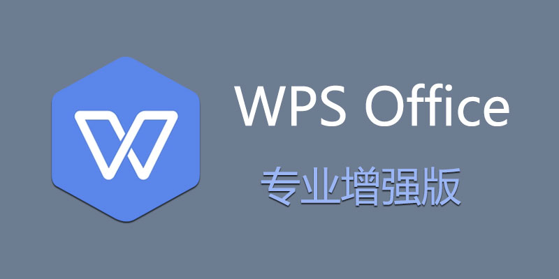 WPS Office Pro 2019 专业增强版 永久激活 v11.8.2.12316