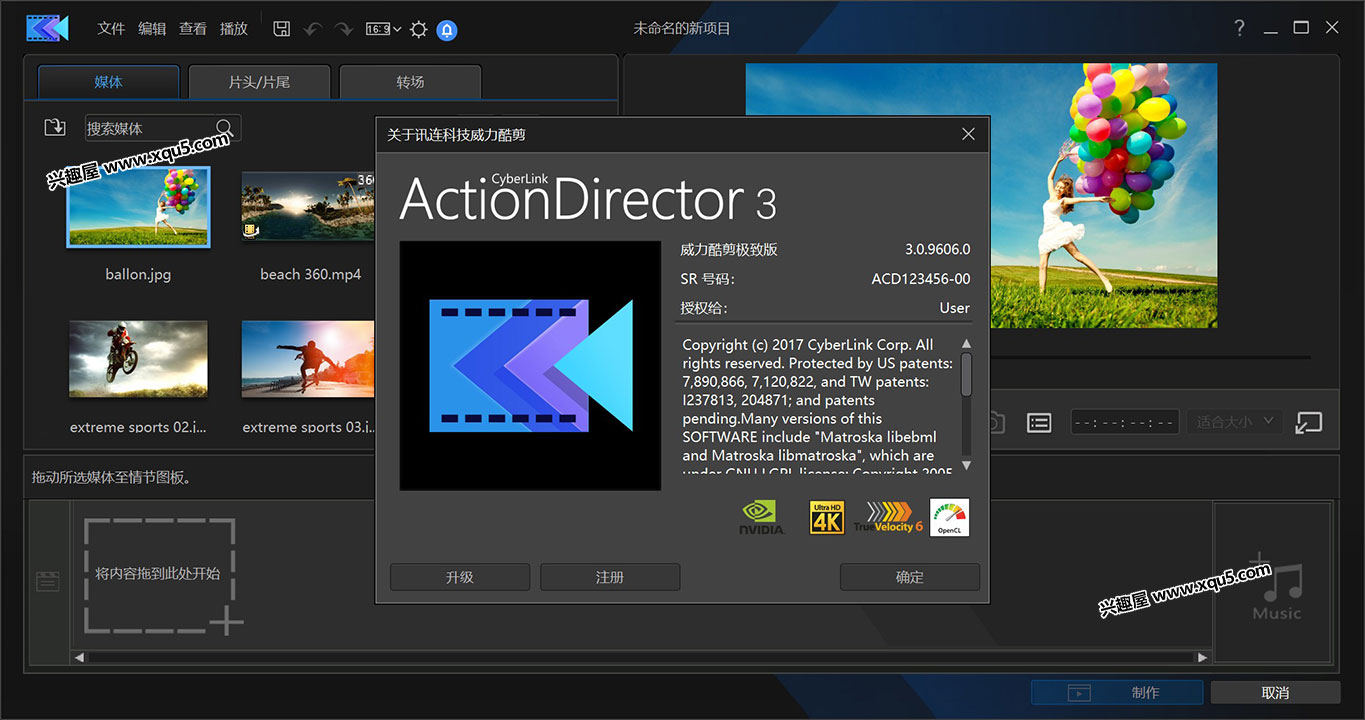 ActionDirector-5.jpg