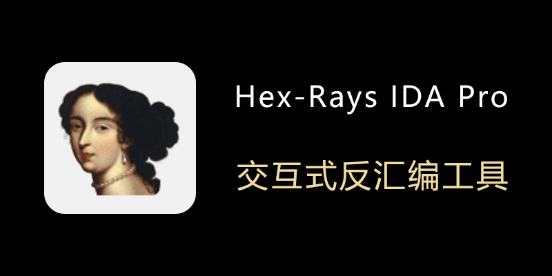 IDA-Pro.png